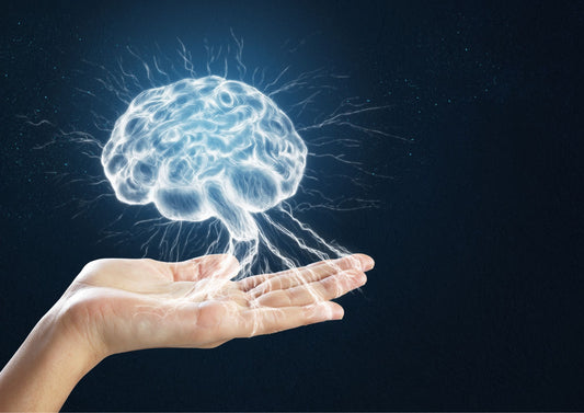 The Science behind rgees PACING GRIPS